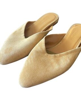 Everlane Pointed Slide Yellow Mules Sz 6.5 Minimalist